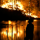 Image for article titled 16 Scary Photos of California's Wildfires